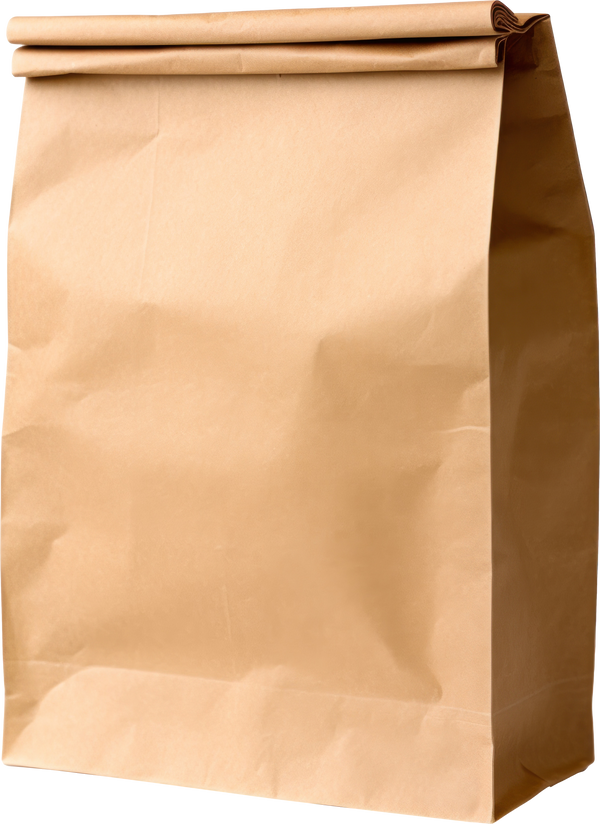 Brown paper lunch bag isolated.